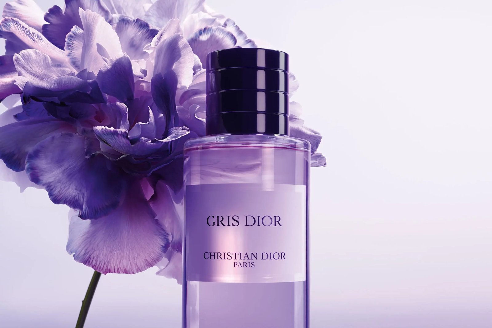 Gris Dior